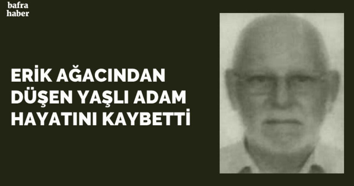 Ağaçtan düşen yaşlı adam hayatını kaybetti