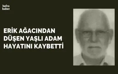 Ağaçtan düşen yaşlı adam hayatını kaybetti