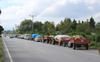 Bu da fındık kuyruğu
