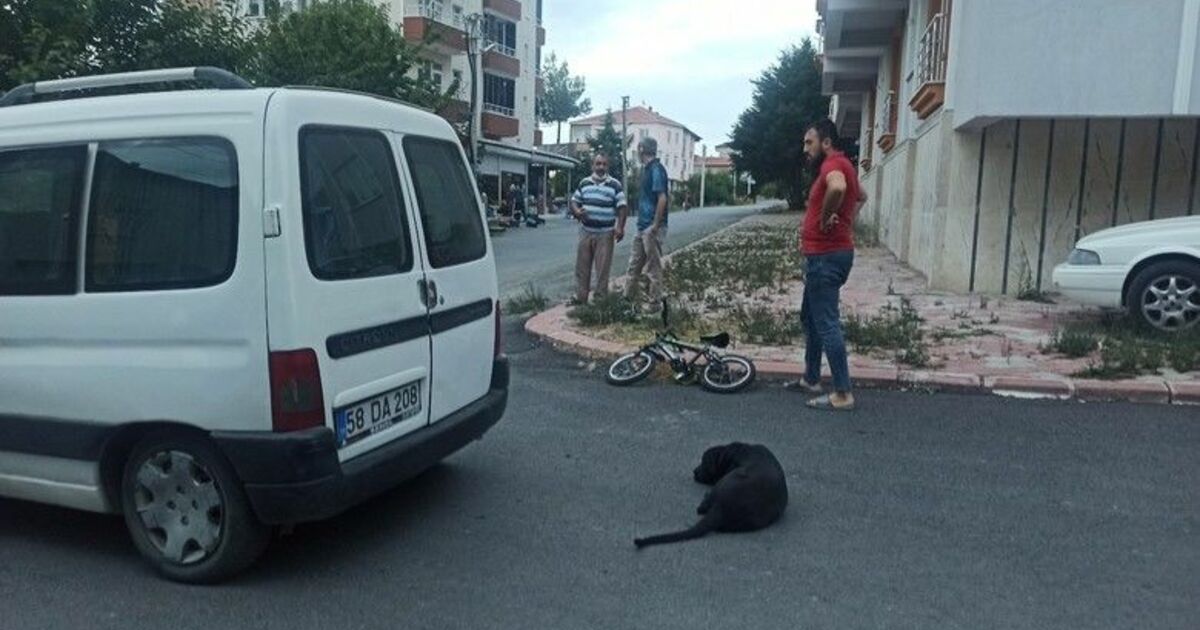 Minivana çarpan bisikletli  çocuk yaralandı