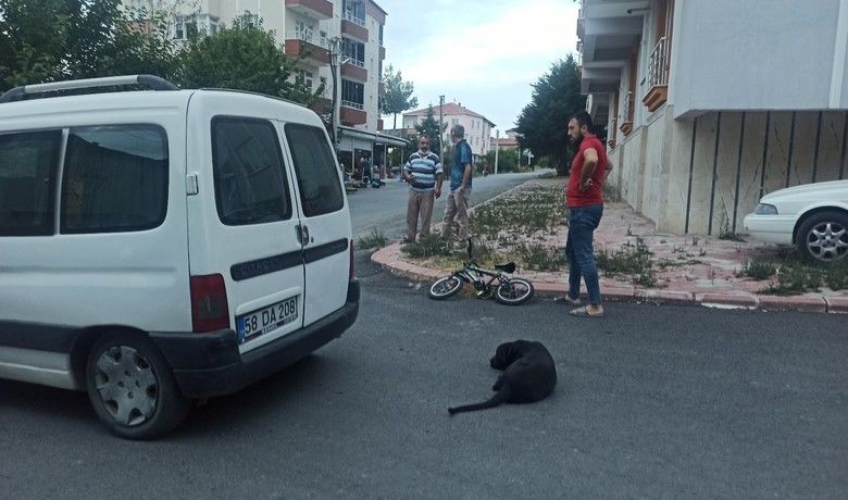 Minivana çarpan bisikletli  çocuk yaralandı - Samsun’un Bafra ilçesinde hareket halindeki minivana çarpan 6 yaşındaki bisikletli çocuk yaralandı.