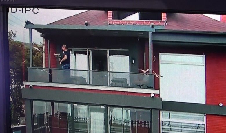 Nesli tükenmekte olan kuş sürüsü villaya daldı
 - Samsun’da sahilde bulunan bir villaya nesli tükenmekte olan Hint balıkçıl kuşu sürüsü daldı.
