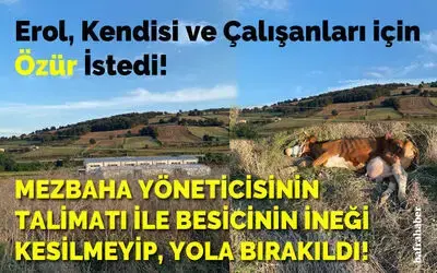 Mezbaha Yöneticisinin Talimatı İle Besicinin İneği Kesilmeyip, Yola Bırakıldı! 