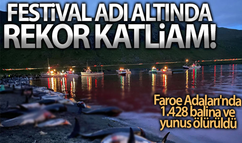 Faroe Adaları'ndaki 'festivalde' bin428 balina ve yunus öldürüldü - Danimarka'ya bağlı Faroe Adaları'nda her yıl düzenlenen geleneksel Grindadrap Festivali'nde bu yıl bin 428 balina ve yunus öldürüldü. Ölü yunuslar kıyı şeridi boyunca sıra sıra dizilirken, festival bu yıl da büyük tepki çekti.