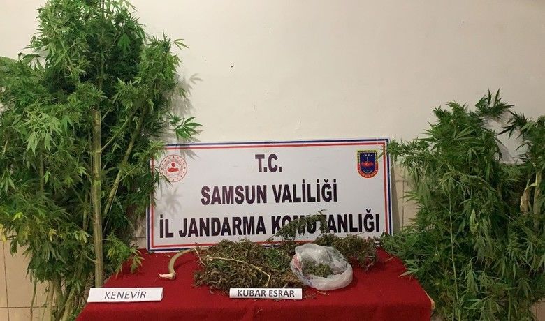 Jandarmadan uyuşturucu operasyonu
 - Samsun’da jandarma ekipleri bir kişiyi 456 gram kubar esrar ve 14 kök kenevir bitkisi ile yakalayarak gözaltına alındı.