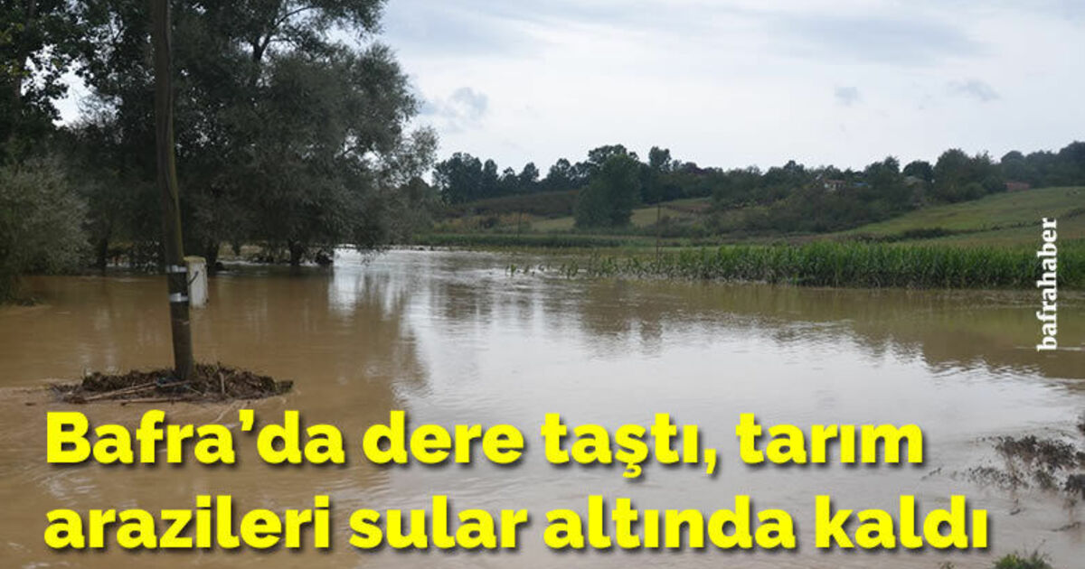 Bafra’da dere taştı, tarım arazileri sular altında kaldı