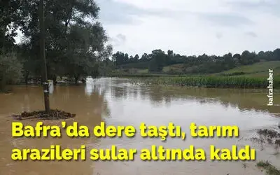 Bafra’da dere taştı, tarım arazileri sular altında kaldı
