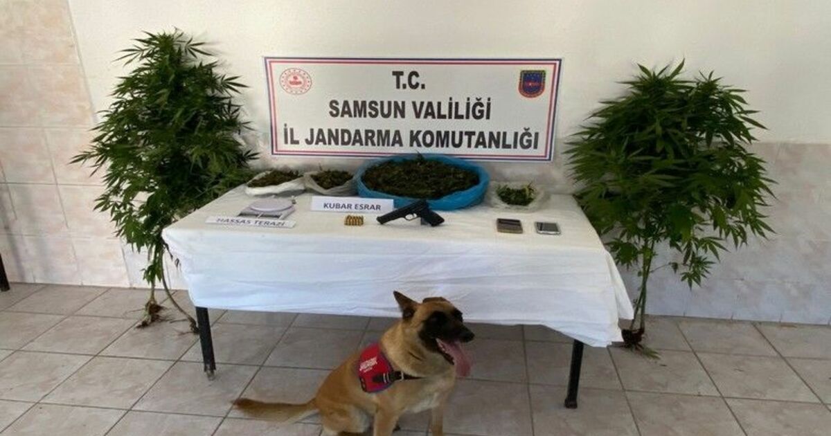 23 yıl 7 ay hapis cezası bulunan şahıs ahırda yakalandı
