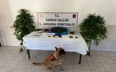 23 yıl 7 ay hapis cezası bulunan şahıs ahırda yakalandı
