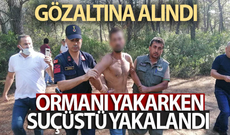 Ormanı yakarken suçüstü yakalandı - Antalya'nın Manavgat ilçesinde aynı bölgede dördüncü noktayı yakmaya çalışan şüpheli suçüstü yakalandı.