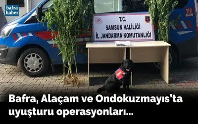 Bafra, Alaçam ve Ondokuzmayıs'ta uyuşturucu operasyonları