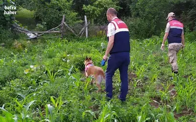 Uyuşturucuya geçit yok: 13 olayda 17 şüpheliye gözaltı