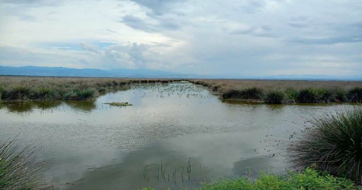 Kaymakamdan muhtarlara ’sulama suyu’ uyarısı