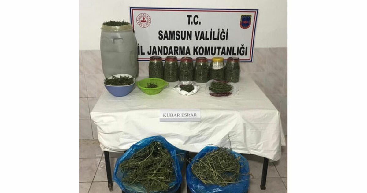Bafra’da 10 kilo kubar esrar ele geçirildi
