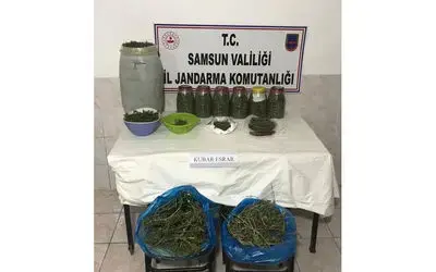 Bafra’da 10 kilo kubar esrar ele geçirildi
