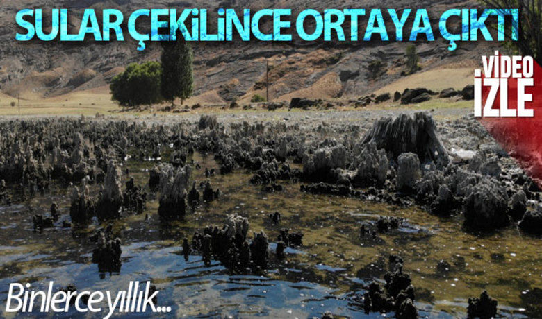 Van Gölü'nün suyu çekildi binlerceyıllık mikrobiyalitler gün yüzüne çıktı - Bitlis’in Tatvan ilçesinde Van Gölü suyunun çekilmesiyle birlikte binlerce yıllık mikrobiyalitler ortaya çıktı.