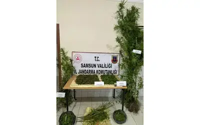 Samsun’da 4 kilo kubar esrar ele geçirildi
