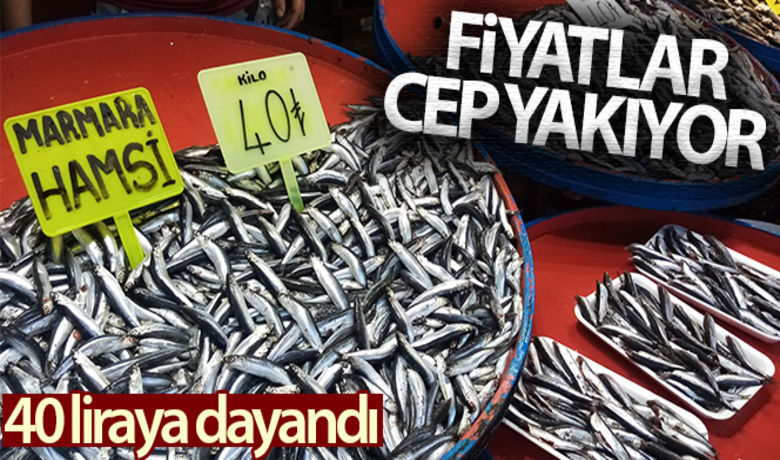 Hamsinin fiyatı 40 liraya dayandı - Güney Marmara'nın balıkçılık merkezi Balıkesir'in Bandırma ilçesinde balık fiyatları cep yakıyor. Hamsinin kilosu ise 40 liraya dayandı.