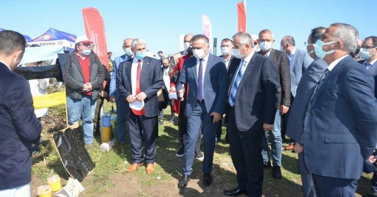 Bafra’da tarla okulu çalışması
