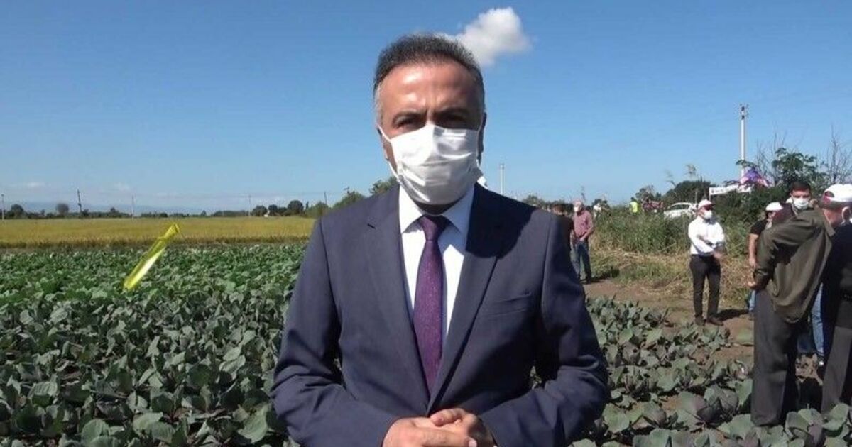 Daire Başkanı Dilber: "Analiz sorununu çözeceğiz"
