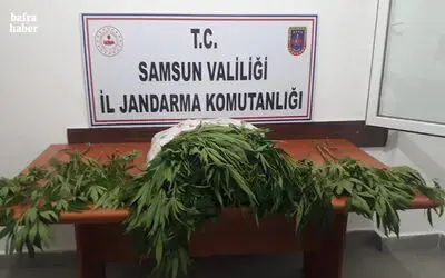 Jandarmadan uyuşturucu madde operasyonları: 13 gözaltı