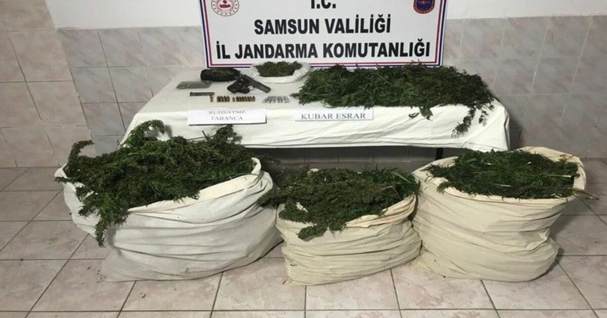 Jandarmadan zehir tacirlerine operasyon: 46 kilo esrar ele geçirildi
