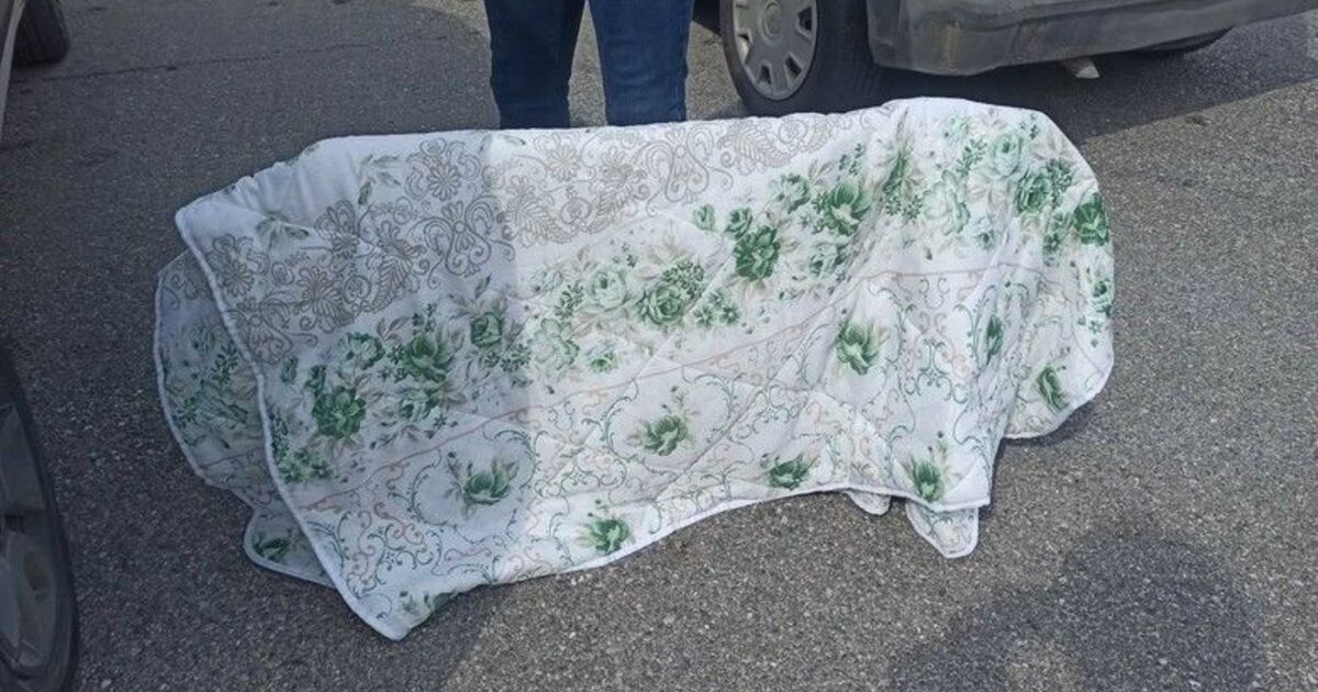 Geçen hafta serbest bırakılan hırsız tekrar hırsızlıktan yakalandı