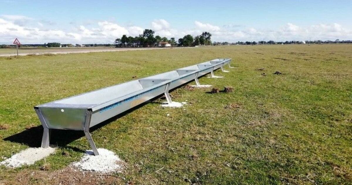 Samsun’da 60 mahalleye hayvanlar için 300 suluk