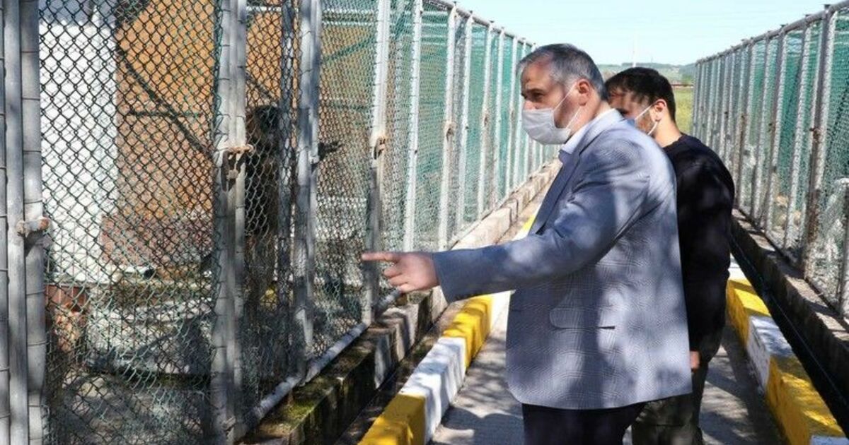 Başkan Hamit Kılıç: “240 can dostunu sahiplendirdik”