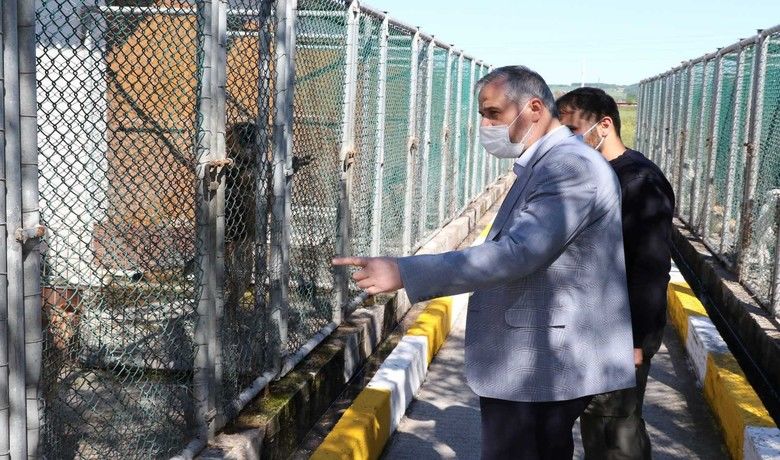 Başkan Hamit Kılıç:“240 can dostunu sahiplendirdik” - Bafra Belediye Başkanı Hamit Kılıç bugüne kadar 485 hayvanın tedavisini yaptıklarını, son 1 yıl içerisinde 1600 canı kısırlaştırdıklarını ve 240 can dostlarını sahiplendirdiklerini söyledi.
