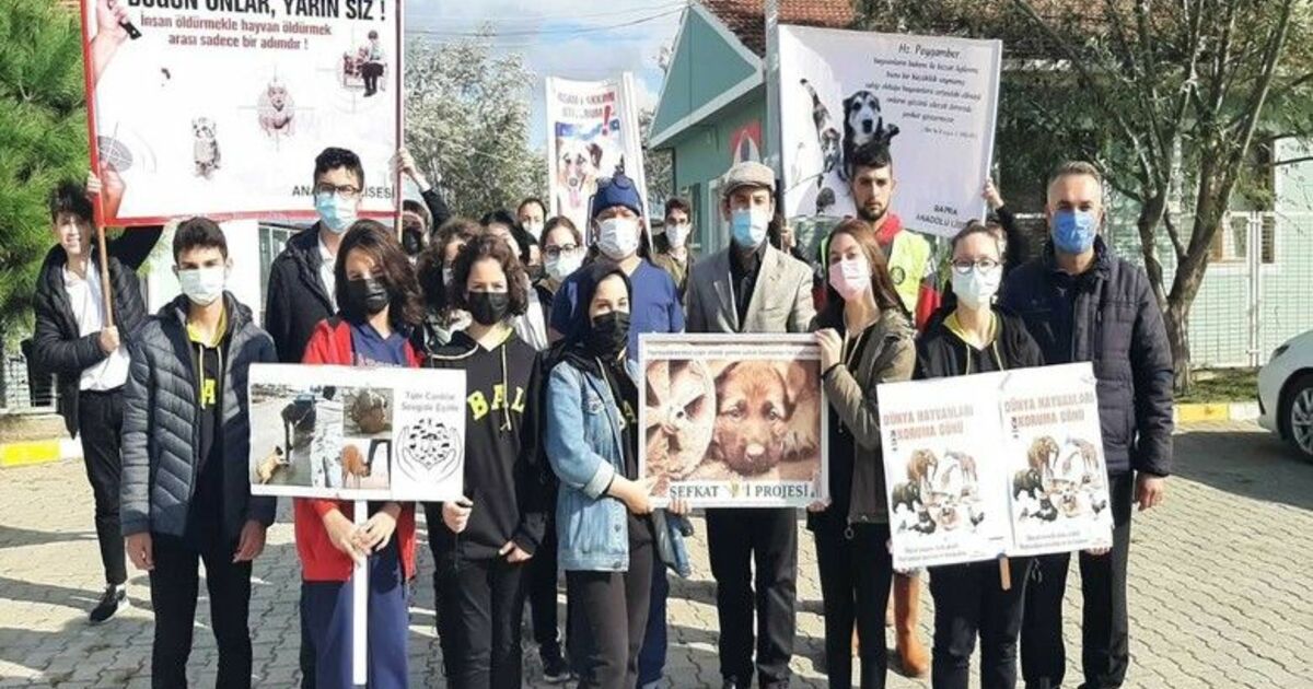 Öğrencilerden hayvanlara şefkat eli