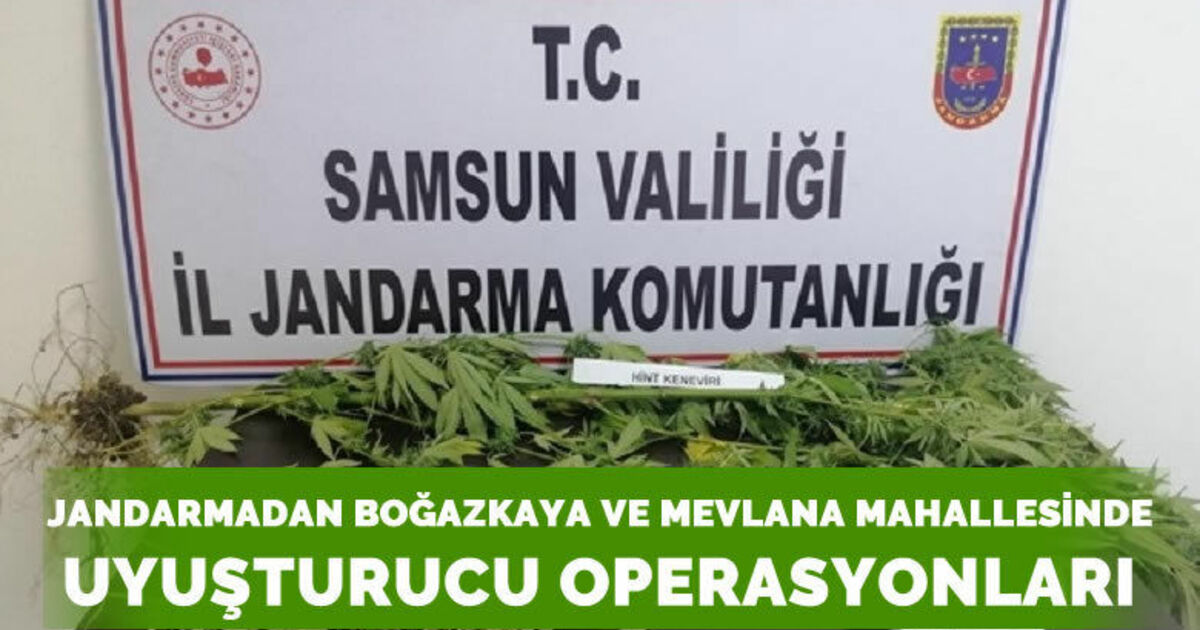 Jandarmadan Bafra'da uyuşturucu operasyonları