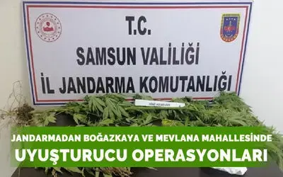 Jandarmadan Bafra'da uyuşturucu operasyonları