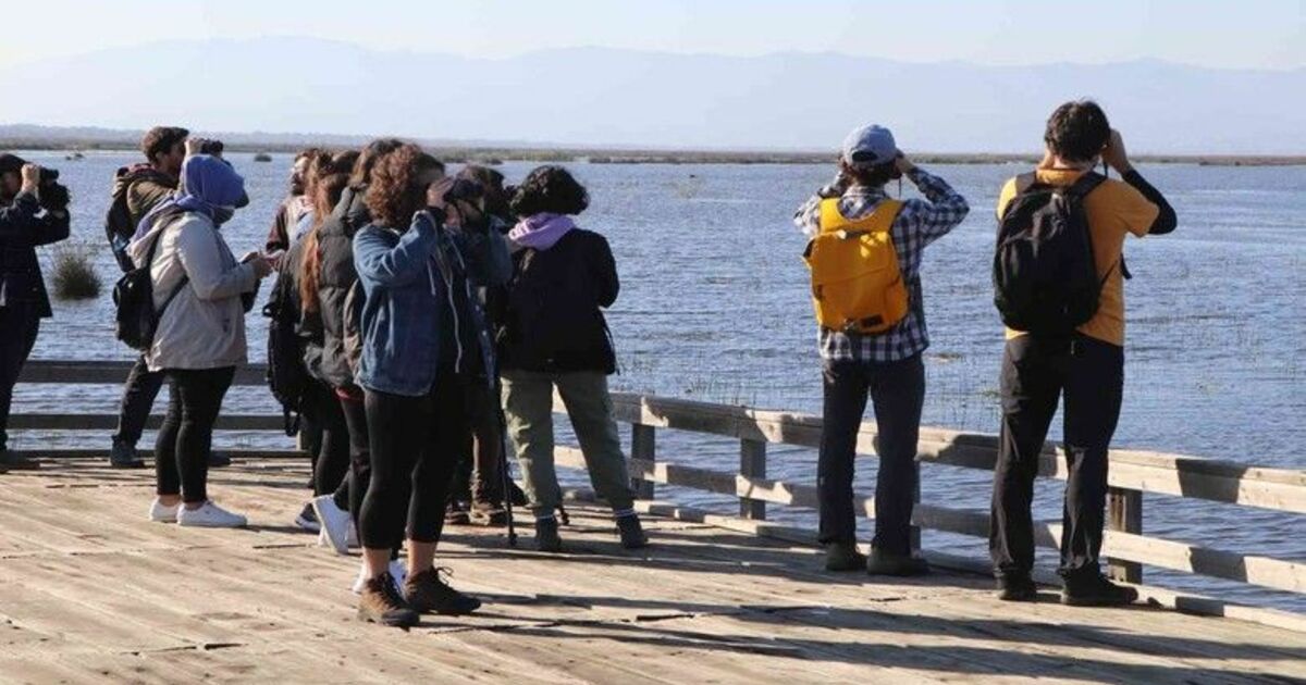 Dünya Göçmen Kuşlar Günü’nde Kızılırmak Deltasında kuş gözlemlediler
