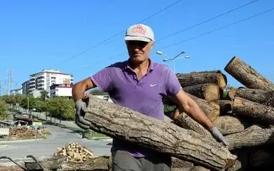 Büyük fabrikalar odunu ateşliyor
