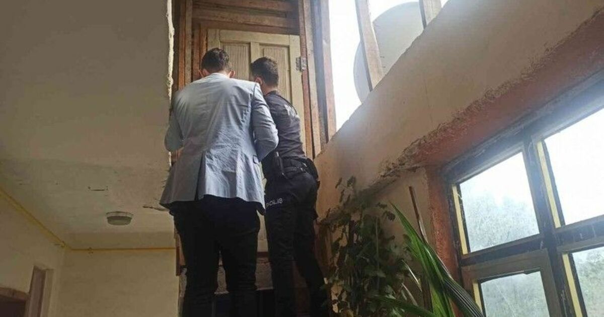 Bafra’da ceviz hırsızlığı