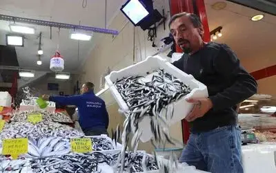 1 hafta önce 40 TL olan hamsi 15 TL’ye kadar düştü

