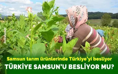 Samsun tarım ürünlerinde Türkiye’yi besliyor. Türkiye Samsun'u besliyor mu?
