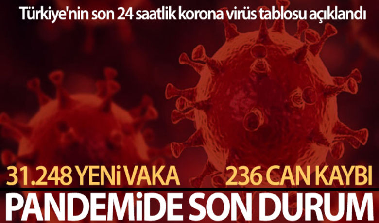 Sağlık Bakanlığı, Türkiye'nin son 24saatlik korona virüs tablosunu açıkladı - Sağlık Bakanlığı, son 24 saatlik korona virüs tablosunu açıkladı. Türkiye'de son 24 saatte 31.248 kişinin testi pozitif çıktı, 236 kişi hayatını kaybetti.