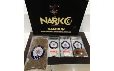 Samsun’da satışa hazır bonzai ile yakalanan bir kişi gözaltına alındı
