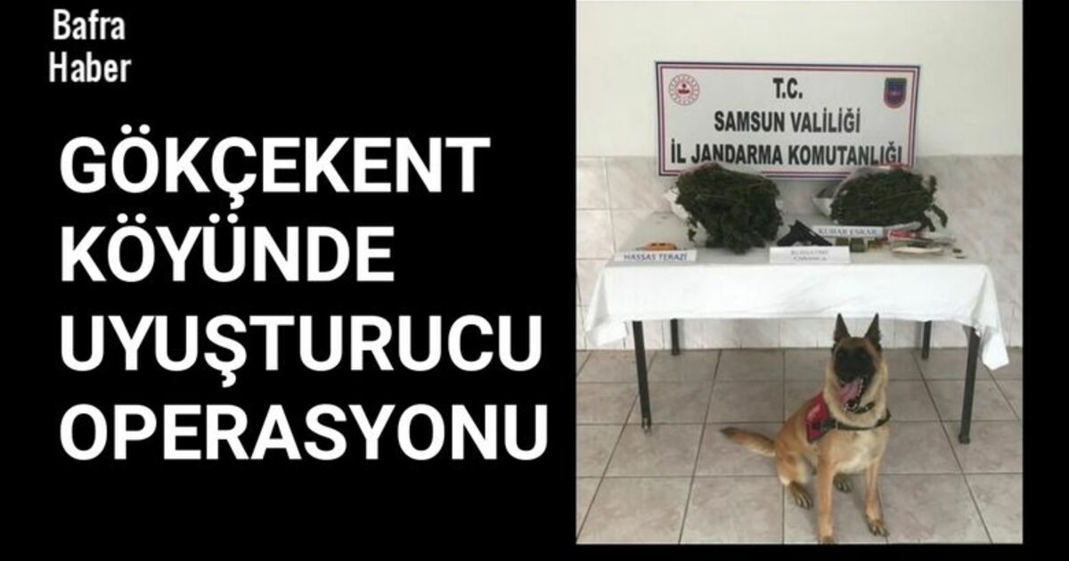 Gökçekent Köyünde Jandarmadan uyuşturucu operasyonu...