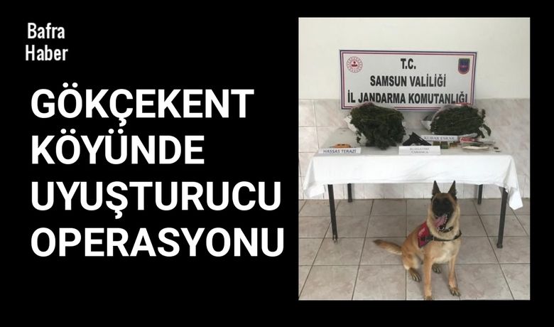 Gökçekent KöyündeJandarmadan uyuşturucu operasyonu... - Samsun Bafra ilçesinde jandarma ekiplerince uyuşturucu ve ruhsatsız tabanca ele geçirildi, 1 şüpheli gözaltına alındı.