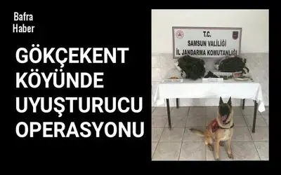 Gökçekent Köyünde Jandarmadan uyuşturucu operasyonu...