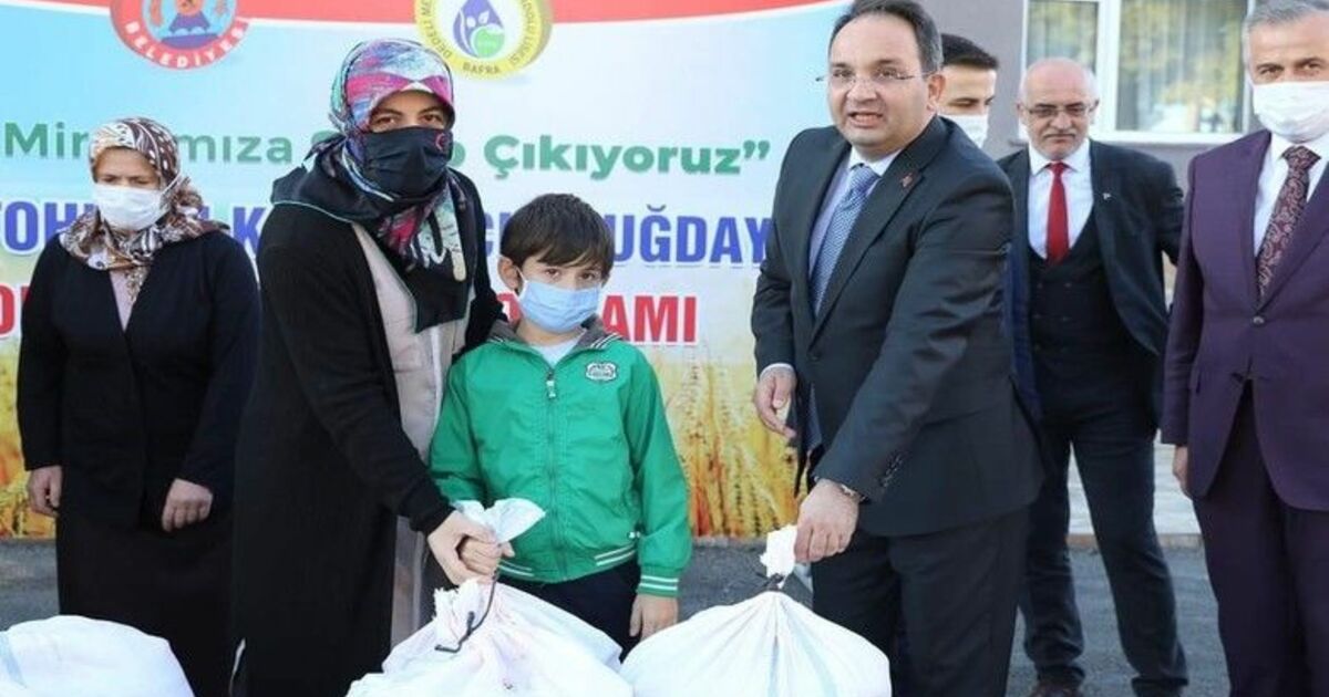 Çiftçilere karakılçık tohum desteği