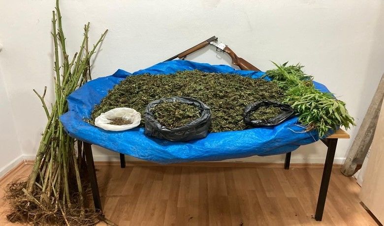 Jandarmanın 8 kiloesrarla yakaladığı şahıs tutuklandı - Samsun’da kurutulmaya bırakılmış 8 kilo kubar esrar maddesi ile tarlada ekili 80 kök dişi Hint keneviri bitkisinin ele geçirildiği operasyonda gözaltına alınan şahıs çıkarıldığı mahkemece tutuklandı.