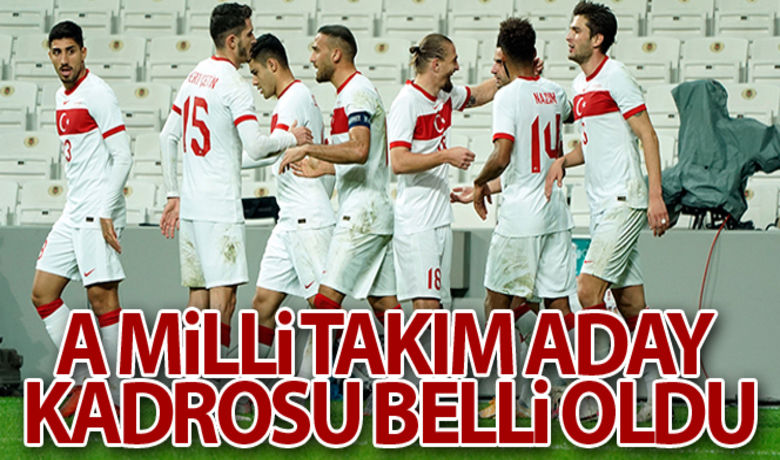A Milli Takım aday kadrosu açıklandı - A Milli Futbol Takımı'nın Cebelitarık ve Karadağ ile oynayacağı müsabakaların aday kadrosu açıklandı. Beşiktaş'ın genç kalecisi Ersin Destanoğlu, ilk kez kadroya davet edildi.