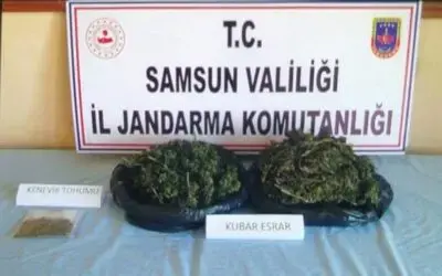 Jandarmadan uyuşturucu operasyonu: 1 gözaltı

