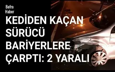 Kediden kaçan sürücü bariyerlere çarptı: 2 yaralı