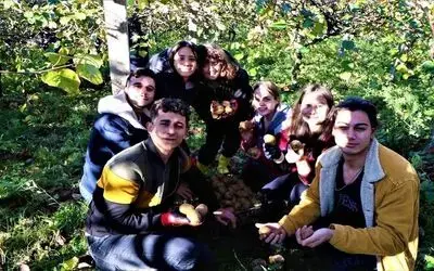 OMÜ’de uygulamalı eğitimde hasat zamanı
