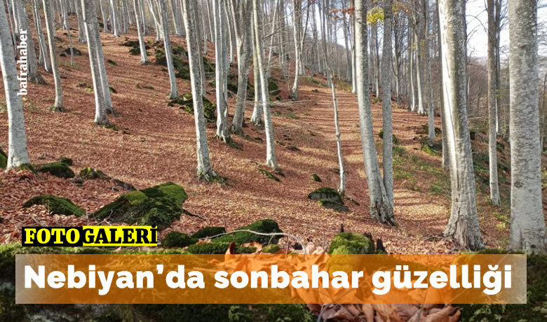 Nebiyan’da sonbahar güzelliği